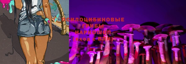 гидропоника Аркадак