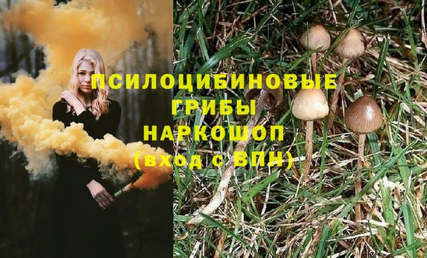 мяу мяу мука Армянск