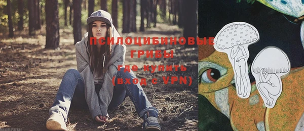 гидропоника Аркадак