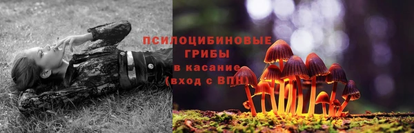 спиды Арсеньев
