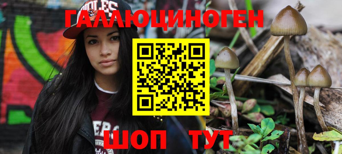 Псилоцибиновые грибы Psilocybe  Вход с VPN  Сатка  Галлюциногенные грибы Magic Shrooms 