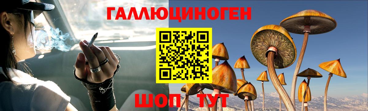 Галлюциногенные грибы Magic Shrooms Сатка